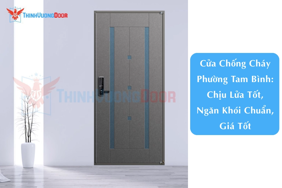 Cửa Chống Cháy Phường Tam Bình: Chịu Lửa Tốt, Ngăn Khói Chuẩn, Giá Tốt